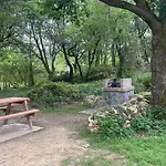 Marismas De Cantabria Cerca De Laredo Badames