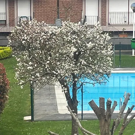 Marismas De Cantabria Cerca De Laredo Badames