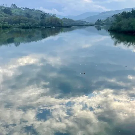 Marismas De Cantabria Cerca De Laredo Badames
