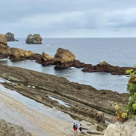 Marismas De Cantabria Cerca De Laredo * Badames