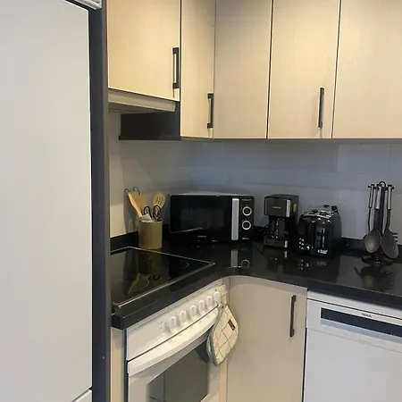 Marismas De Cantabria Cerca De Laredo *