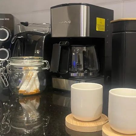 Marismas De Cantabria Cerca De Laredo *