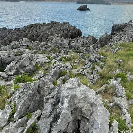 Marismas De Cantabria Cerca De Laredo Badames