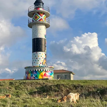 Marismas De Cantabria Cerca De Laredo *