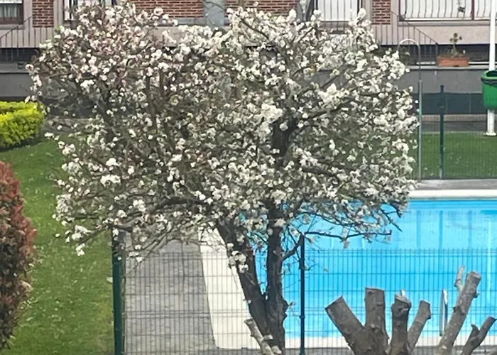Marismas De Cantabria Cerca De Laredo Badames