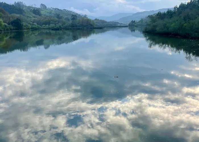Marismas De Cantabria Cerca De Laredo Badames