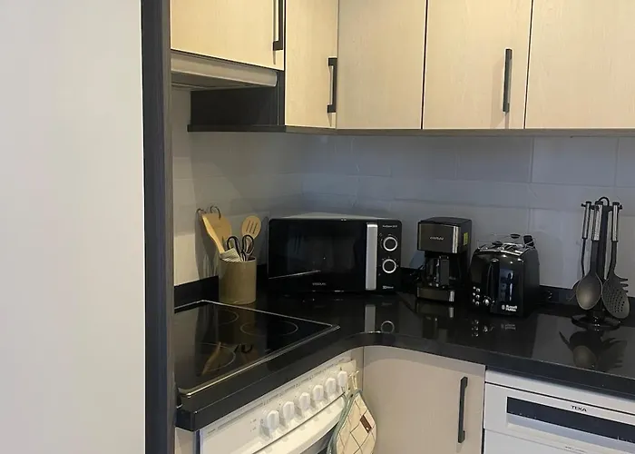 Marismas De Cantabria Cerca De Laredo *