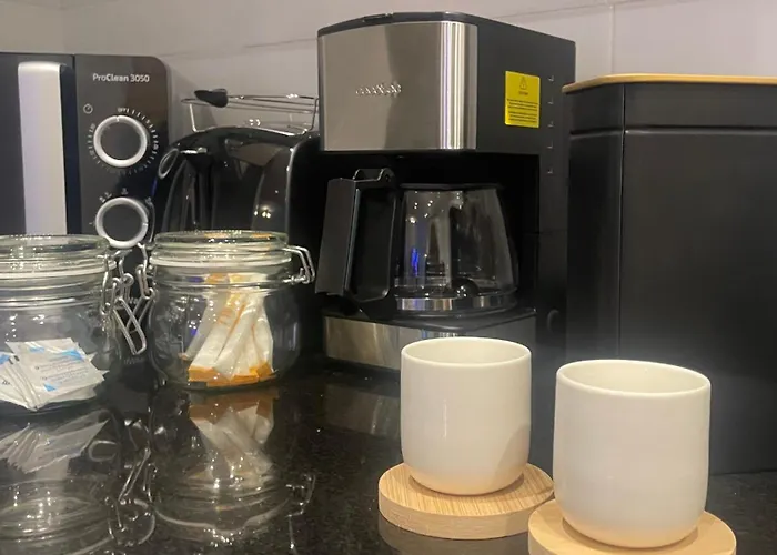 Marismas De Cantabria Cerca De Laredo *