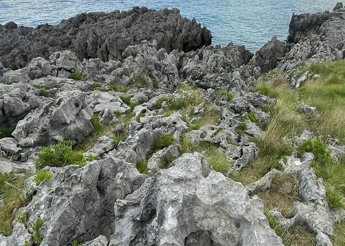 Marismas De Cantabria Cerca De Laredo Badames