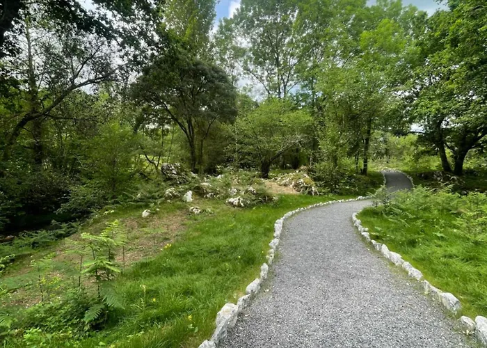 Marismas De Cantabria Cerca De Laredo