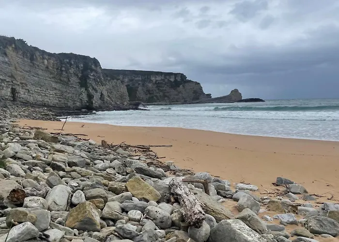 Marismas De Cantabria Cerca De Laredo *