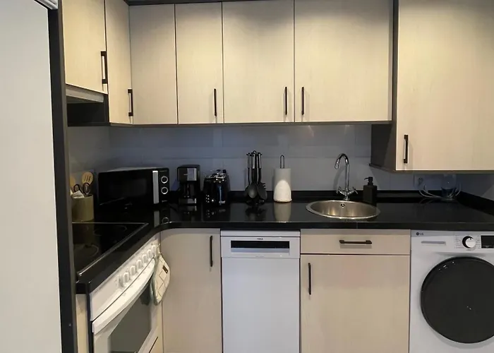 Marismas De Cantabria Cerca De Laredo Apartment Badames