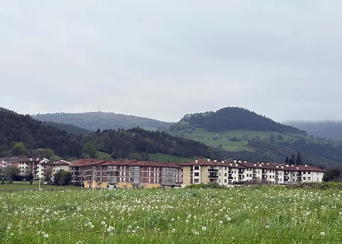 Marismas De Cantabria Cerca De Laredo *